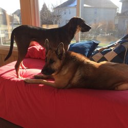 Zenava J's profile picture on Yelp